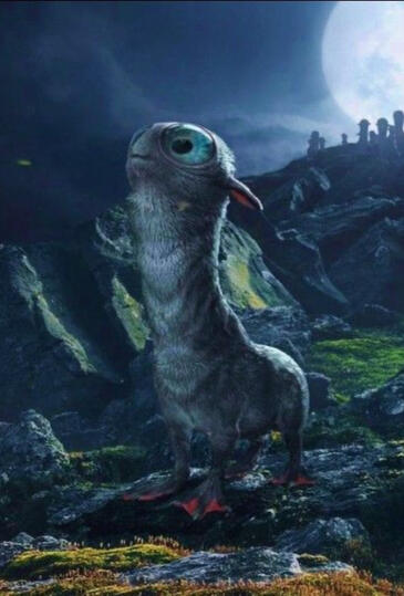 PROFESSOR'S PROFILE