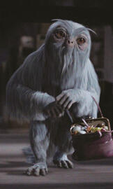 CARE OF MAGICAL CREATURES CLASS REGULATION