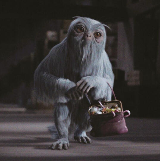Care of Magical Creatures Class Regulation